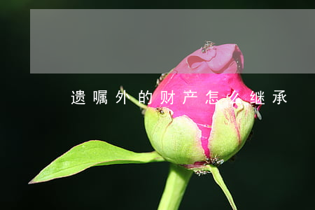 遗嘱外的财产怎么继承