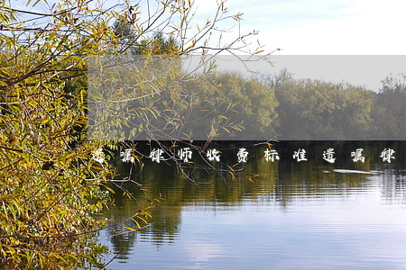 遗嘱律师收费标准(遗嘱律师费一般多少钱)