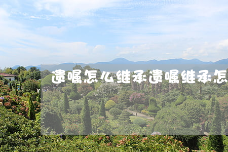遗嘱怎么继承(遗嘱继承怎么写)