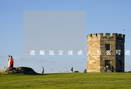 遗嘱指定继承人怎么写(遗嘱继承怎样写)