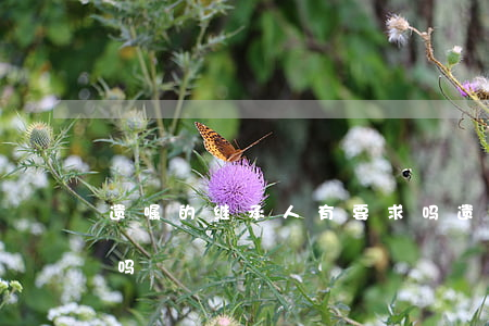 遗嘱的继承人有要求吗(遗嘱的继承人有要求吗)