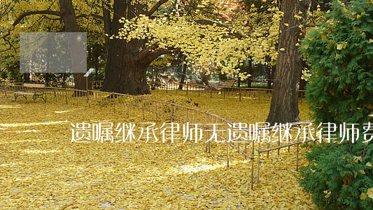 遗嘱继承律师(无遗嘱继承律师费)