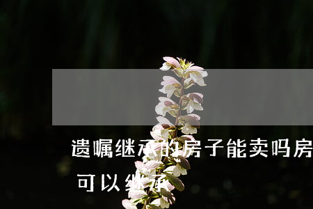 遗嘱继承的房子能卖吗(房产如果没有遗嘱谁可以继承)