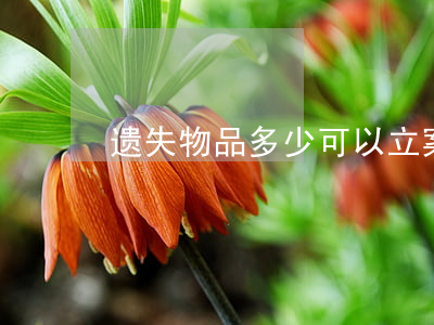 遗失物品多少可以立案