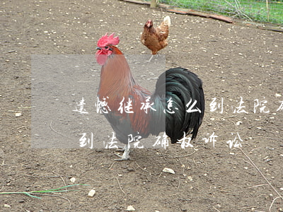 遗憾继承怎么到法院确权诉讼(遗憾继承怎么到法院确权诉讼)