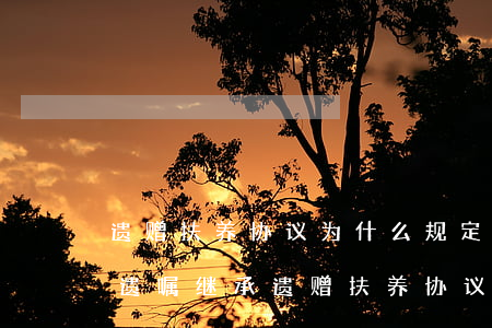 遗赠扶养协议为什么规定在继承中(法定继承遗嘱继承遗赠扶养协议三者之间效力如何)