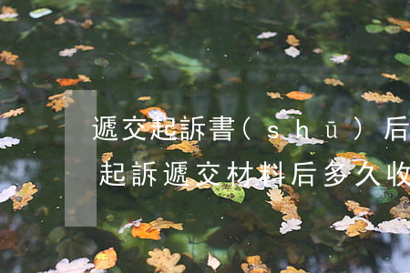 遞交起訴書(shū)后多久可以收到傳票(起訴遞交材料后多久收到傳票)