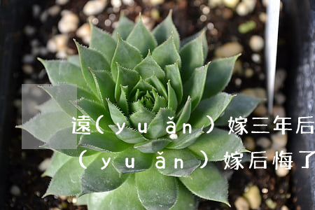 遠(yuǎn)嫁三年后悔想離婚怎么辦(遠(yuǎn)嫁后悔了想離開怎么辦)