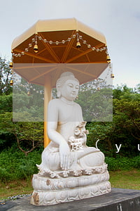 遠(yuǎn)嫁怎么才能狠心離婚