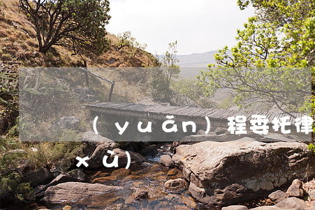 遠(yuǎn)程委托律師需要什么手續(xù)
