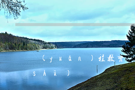 遠(yuǎn)程教育協(xié)議書(shū)