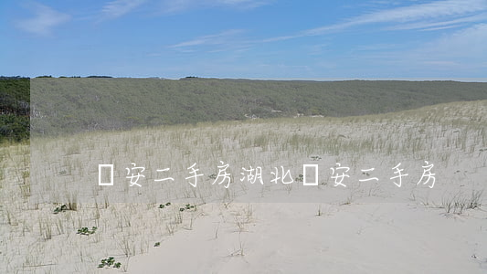 遠安二手房(湖北遠安二手房)