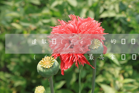 遣散費(fèi)的賠償上限多少錢(遣散費(fèi)最高拿幾個月)