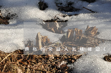 適格的受益人怎樣確認(rèn)