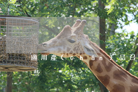 適用產(chǎn)品召回的法定情形有哪些