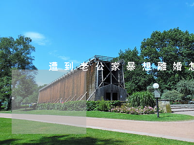 遭到老公家暴想離婚怎么辦