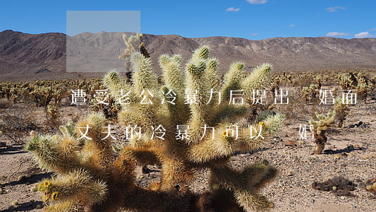 遭受老公冷暴力后提出離婚(面對(duì)丈夫的冷暴力,可以離婚嗎?)