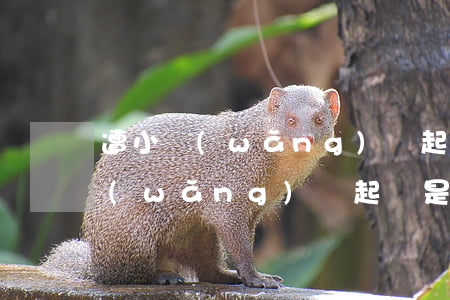 遭小網(wǎng)貸起訴是真的嗎(遭小網(wǎng)貸起訴是真的嗎怎么辦)