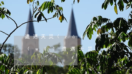 遭遇天災(zāi)無(wú)力償還債務(wù) 遭遇天災(zāi)無(wú)力償還債務(wù)怎么處理