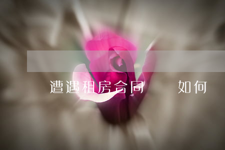 遭遇租房合同糾紛如何處理