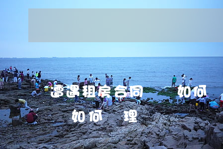 遭遇租房合同糾紛如何處理(房屋出租合同糾紛如何處理)