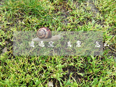 遭遇空頭支票時怎么辦法官支招