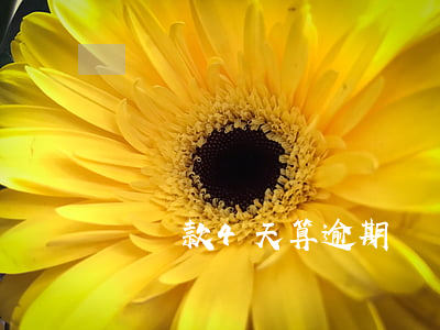 遲還款4天算逾期嗎(幾天不還款算是逾期)