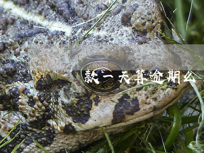 遲還款一天算逾期么(還款推遲一天算逾期嗎)