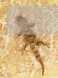 遵化力工律師(遵化律師哪個厲害)