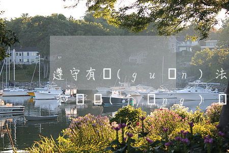 遵守有關(guān)法律法規(guī)和財經(jīng)紀(jì)律(如何遵守財經(jīng)法規(guī)和會計職業(yè)道德)