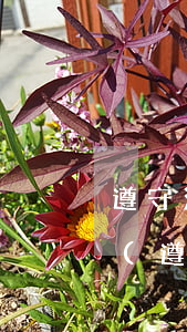 遵守法律法規(guī)情況的匯報怎么寫(遵守國家法紀(jì),執(zhí)行我院規(guī)章制度的情況和表現(xiàn)怎么寫)