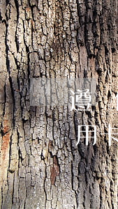 遵義信用卡逾期停息掛賬申請條件-遵義信用卡逾期停息掛賬申請條件是什么