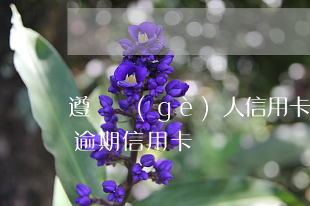 遵義個(gè)人信用卡逾期記錄消除(處理逾期信用卡)