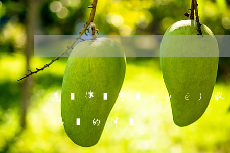 遵義律師行業(yè)收費標準(遵義市最有名氣的律師)