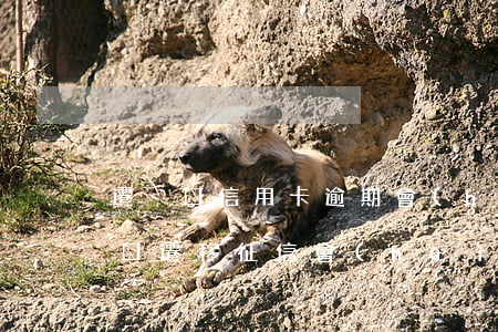 遷戶口信用卡逾期會(huì)有影響嗎(戶口遷移征信會(huì)變嗎)