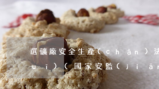選礦廠安全生產(chǎn)法律法規(guī)(國家安監(jiān)總局多少號令對選礦廠安全標(biāo)準(zhǔn)化提出要求)