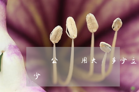 遺囑公證費用大約多少(立遺囑的公證費是多少)