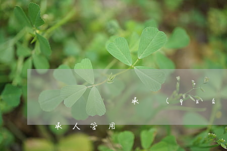 遺囑剝奪繼承權(quán)嗎(遺囑指定繼承人管用嗎)