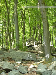 遺囑只繼承給個人需要怎么寫(遺囑怎么寫才能表明只給兒子繼承)