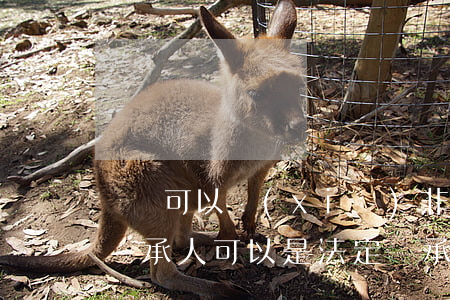 遺囑可以寫(xiě)非法定繼承人嗎(遺囑繼承人可以是法定繼承人以外的人嗎)