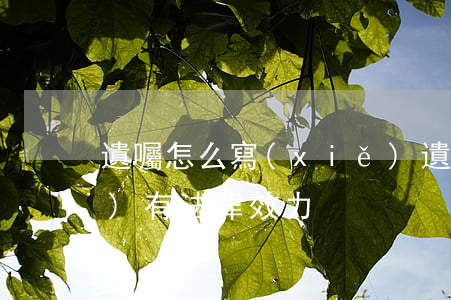 遺囑怎么寫(xiě)(遺囑怎么寫(xiě)有法律效力)