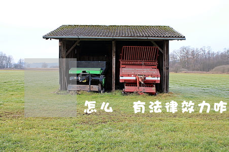 遺囑怎么寫有法律效力(咋立遺囑有法律效力)