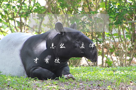 遺囑怎么寫法律才有效(夫妻遺囑怎么寫法律才有效)