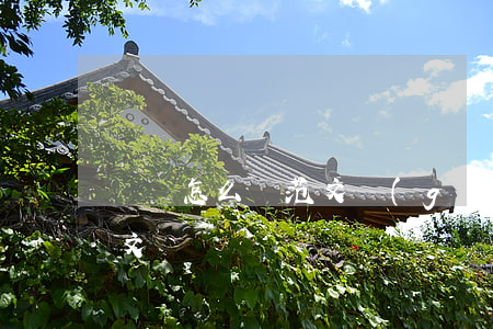 遺囑怎么寫范文(個(gè)人遺囑怎么寫范文)