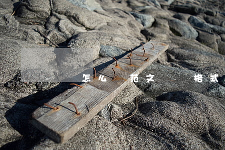 遺囑怎么寫范文(遺囑格式范本)