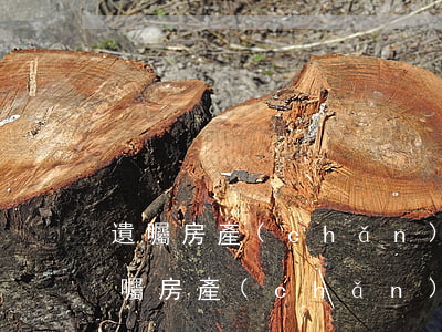 遺囑房產(chǎn)可以讓孫女繼承嗎(遺囑房產(chǎn)可以讓孫女繼承嗎)