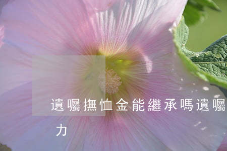遺囑撫恤金能繼承嗎(遺囑對撫恤金有法律效力)