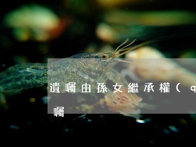 遺囑由孫女繼承權(quán)嗎(繼承法 遺囑)