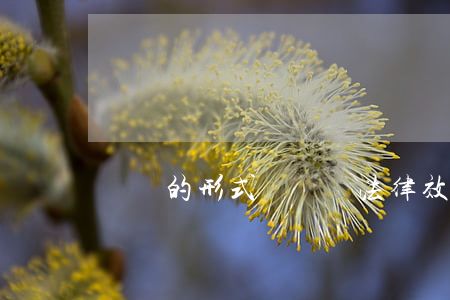 遺囑的形式對遺囑法律效力的影響