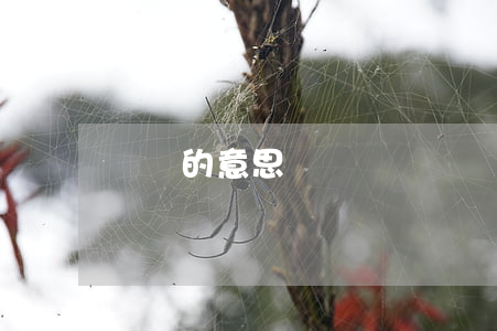 遺囑的意思